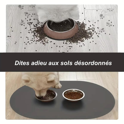 Tapis Alimentaire