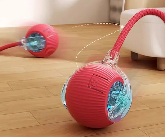 Balles Interactives pour chat - Rechargeables