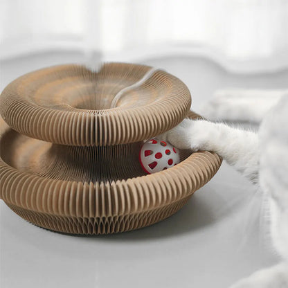 Jouet interactif pliable pour chat