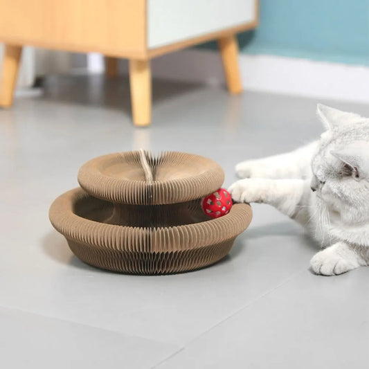 Jouet interactif pliable pour chat