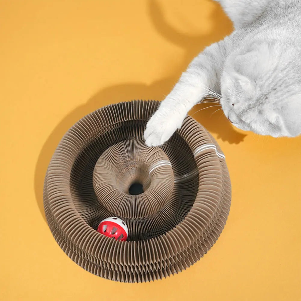 Jouet interactif pliable pour chat